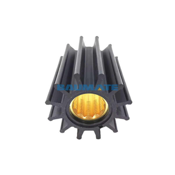 22994993 (1)